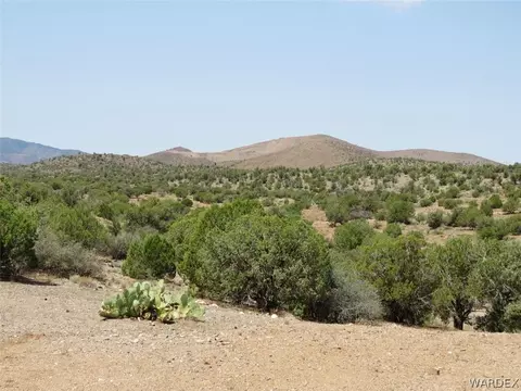 10315 E Blake Ranch Rd, Kingman, AZ 86401 photo 48
