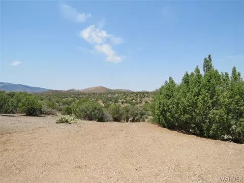 10315 E Blake Ranch Rd, Kingman, AZ 86401 photo 49