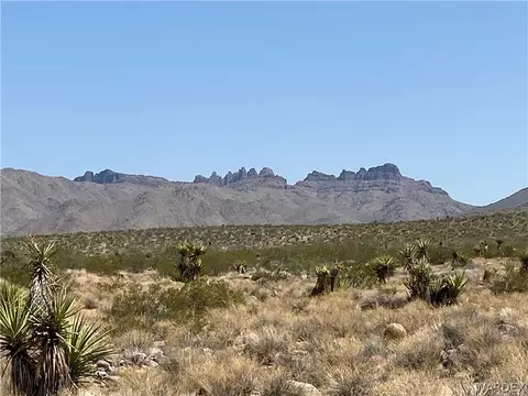 130 Acres, Dolan Springs, AZ 86441