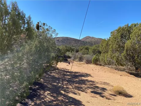 15500 E Dicks Camp Rd, Hackberry, AZ 86411 photo 46