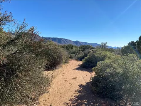15500 E Dicks Camp Rd, Hackberry, AZ 86411 photo 48