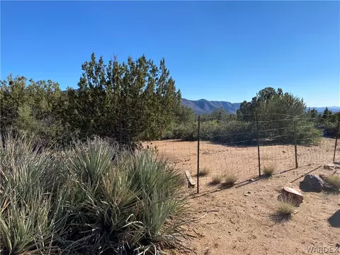 15500 E Dicks Camp Rd, Hackberry, AZ 86411 photo 55