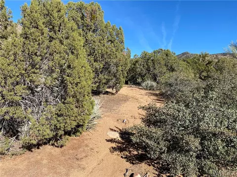 15500 E Dicks Camp Rd, Hackberry, AZ 86411 photo 50