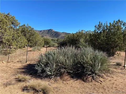 15500 E Dicks Camp Rd, Hackberry, AZ 86411 photo 54