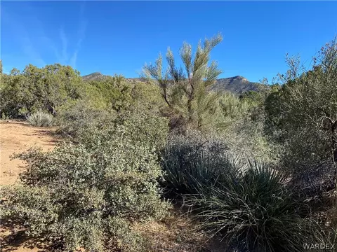 15500 E Dicks Camp Rd, Hackberry, AZ 86411 photo 49