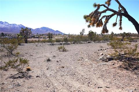 17464 N Longhorn Dr Dolan Springs Az 86441 14 Photos Mls 990050 Movoto