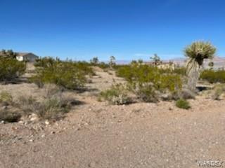 55 E Spencer Dr, Meadview, AZ 86444 photo 4
