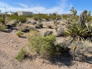 55 E Spencer Dr, Meadview, AZ 86444 photo 3