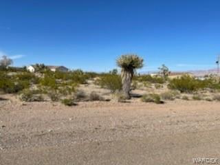55 E Spencer Dr, Meadview, AZ 86444 photo 6