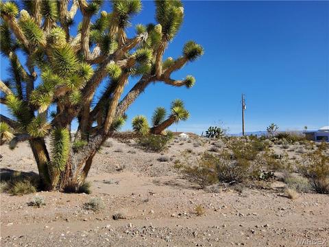 445 E Galloway Dr, Meadview, AZ 86444 photo 1