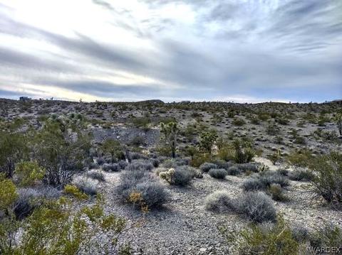 29793 N Gregg Dr, Meadview, AZ 86444
