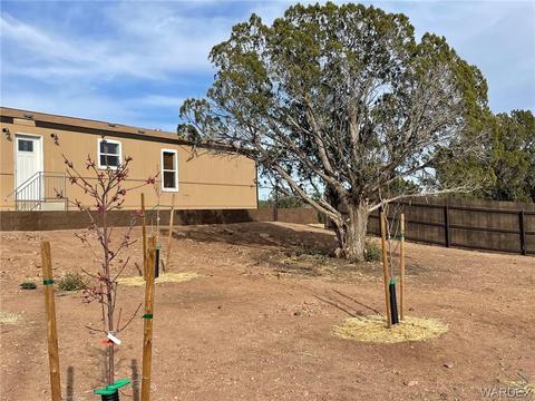 18652 E Globe Willow Dr, Kingman, AZ 86401 photo 7