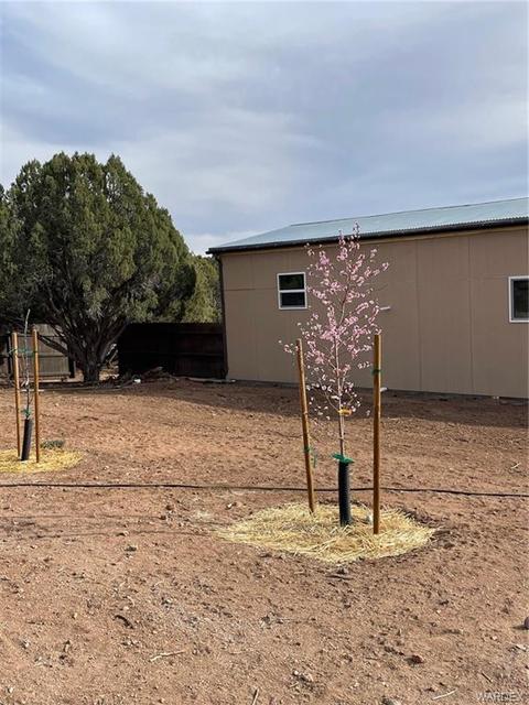 18652 E Globe Willow Dr, Kingman, AZ 86401 photo 8