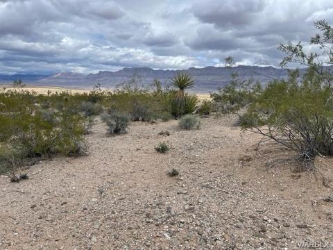 30450 N Haystack Dr, Meadview, AZ 86444 photo 10