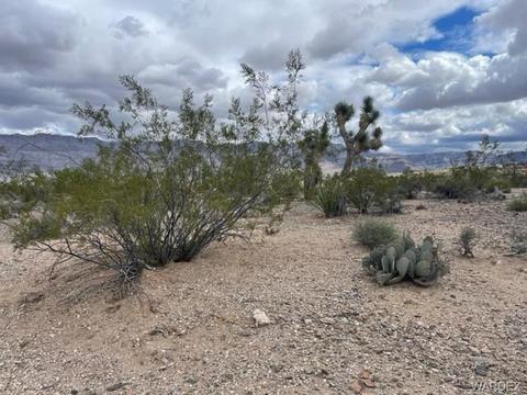 30450 N Haystack Dr, Meadview, AZ 86444 photo 11