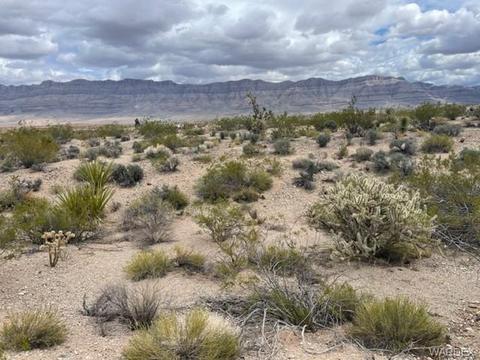 30450 N Haystack Dr, Meadview, AZ 86444 photo 19