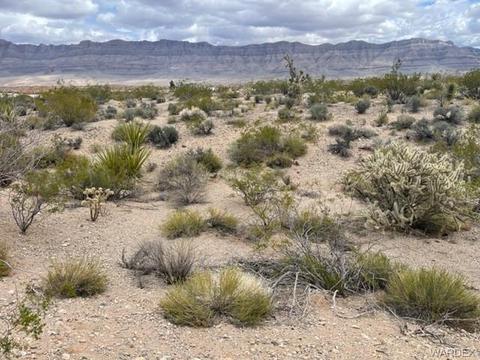 30450 N Haystack Dr, Meadview, AZ 86444 photo 8