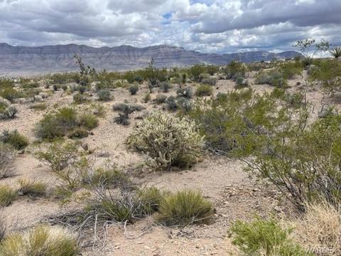 30450 N Haystack Dr, Meadview, AZ 86444 photo 21