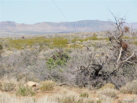 000 7th, Chloride, AZ 86431