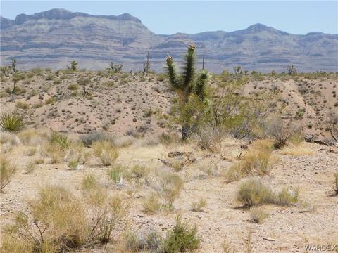 28390 N Drifting Sands Cir, Meadview, AZ 86444
