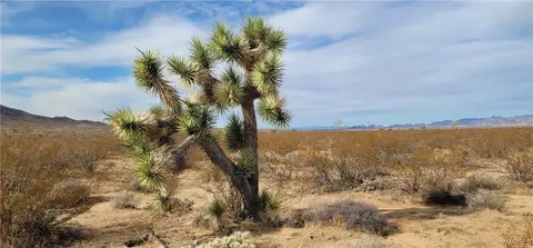160 W Acres W Silver Dr, Yucca, AZ 86438
