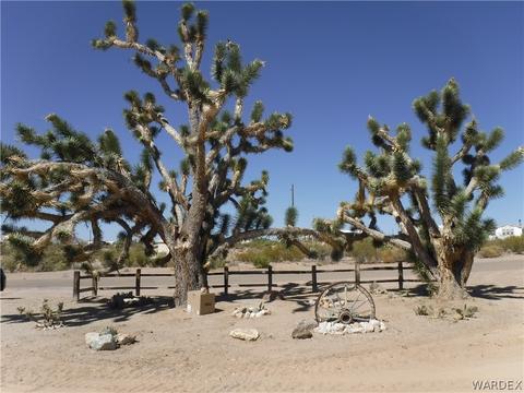 725 E Bishop Dr, Meadview, AZ 86444 photo 52