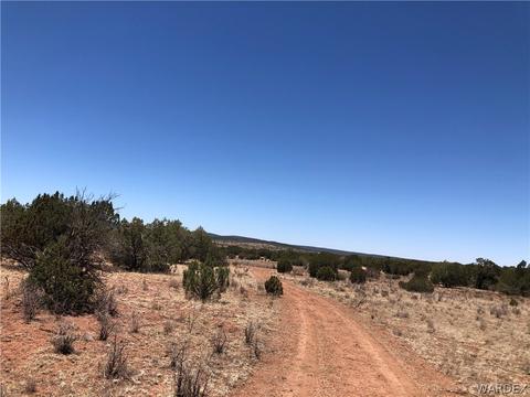 40 Acres Off Of Denny 5, Seligman, AZ 86337