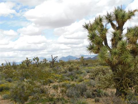 000 E Shadow Ln, Yucca, AZ 86438 photo 12