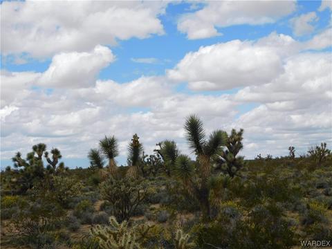 000 E Shadow Ln, Yucca, AZ 86438 photo 14