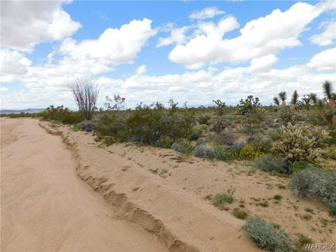 000 E Shadow Ln, Yucca, AZ 86438 photo 3