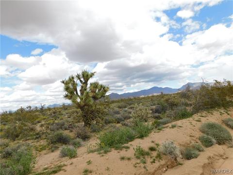 000 E Shadow Ln, Yucca, AZ 86438 photo 4