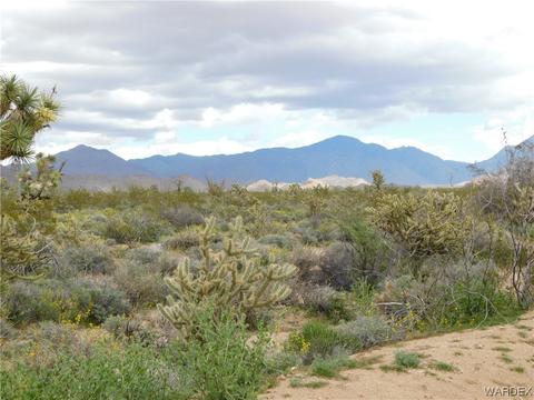 000 E Shadow Ln, Yucca, AZ 86438 photo 8