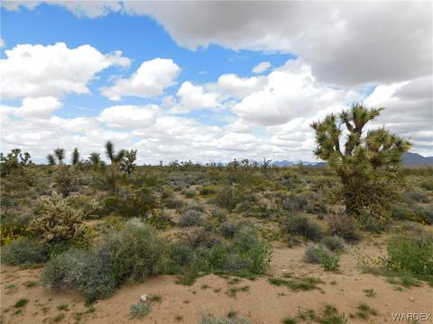 000 E Shadow Ln, Yucca, AZ 86438
