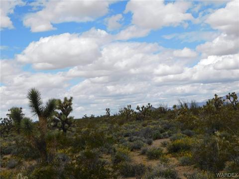 000 E Shadow Ln, Yucca, AZ 86438 photo 13
