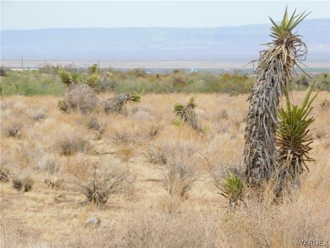 002 W Shipp Dr # q, Golden Valley, AZ 86413