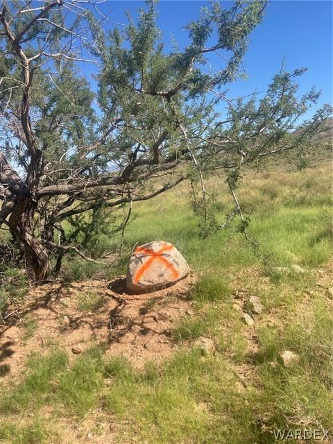 000 E Mountain View Rd, Kingman, AZ 86401