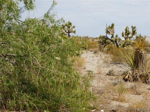 215 E Sumner Dr, Meadview, AZ 86444 photo 10