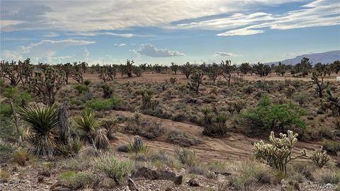0 N Sonora Rd, Dolan Springs, AZ 86441