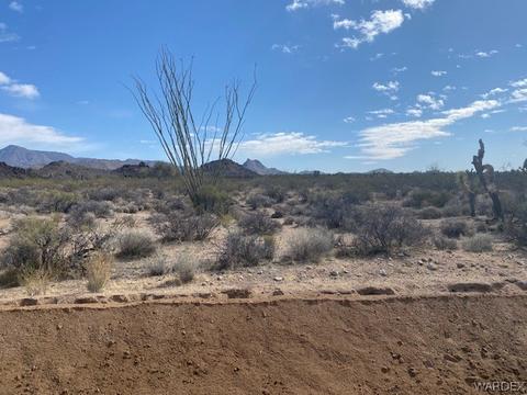 0 Cholla, Yucca, AZ 86438