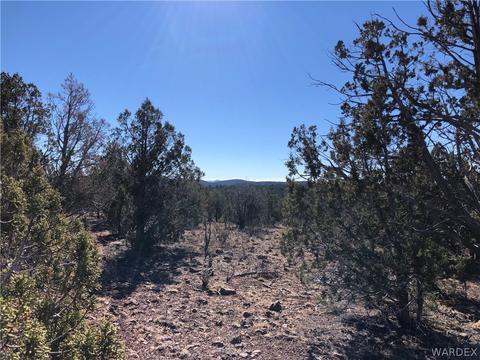 36 Acres Antelope Valley Rnch, Peach Springs, AZ 86434
