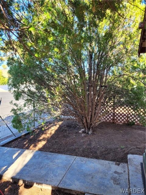 206 E Spring St, Kingman, AZ 86401 photo 4