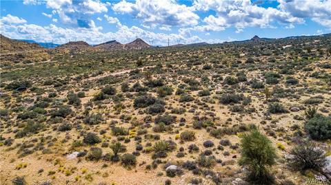 000 Homestead, Hackberry, AZ 86411 photo 27