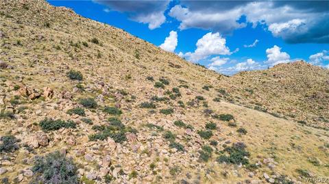 000 Homestead, Hackberry, AZ 86411 photo 23