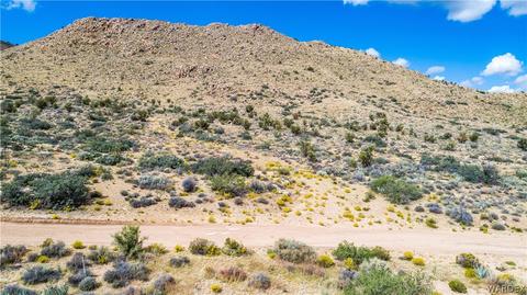 000 Homestead, Hackberry, AZ 86411 photo 6