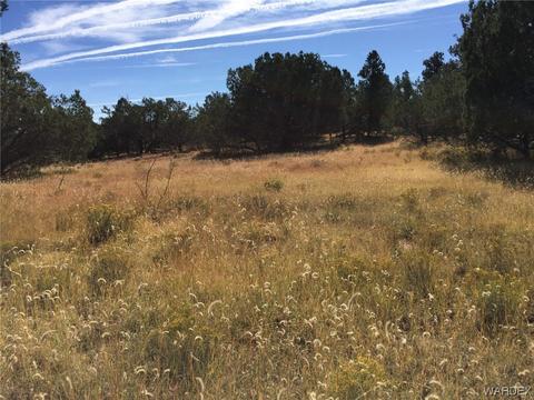 Lot 25 Meadowview, Peach Springs, AZ 86434