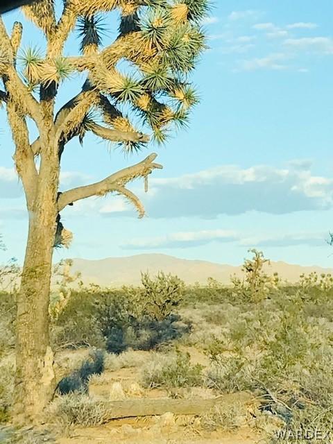 2565 S Jesse James Rd, Yucca, AZ 86438