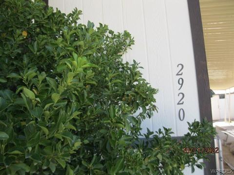 2920 E Mcvicar Ave, Kingman, AZ 86409 photo 1