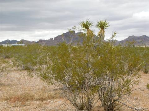 1629 S Eloy Rd, Golden Valley, AZ 86413