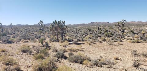 27225 N Driftwood Dr, Meadview, AZ 86444