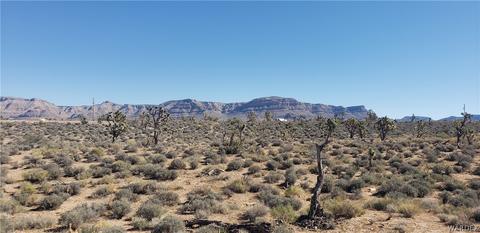 27226 N Hummingbird Dr, Meadview, AZ 86444